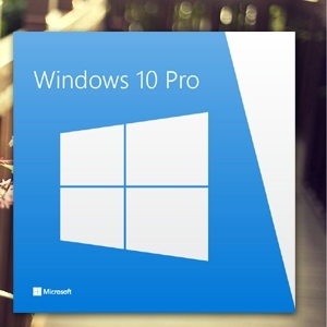 Windows 10 (86-64bit)
